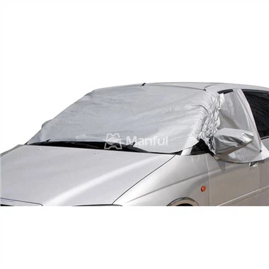 Elastiche auto parabrezza Protecter